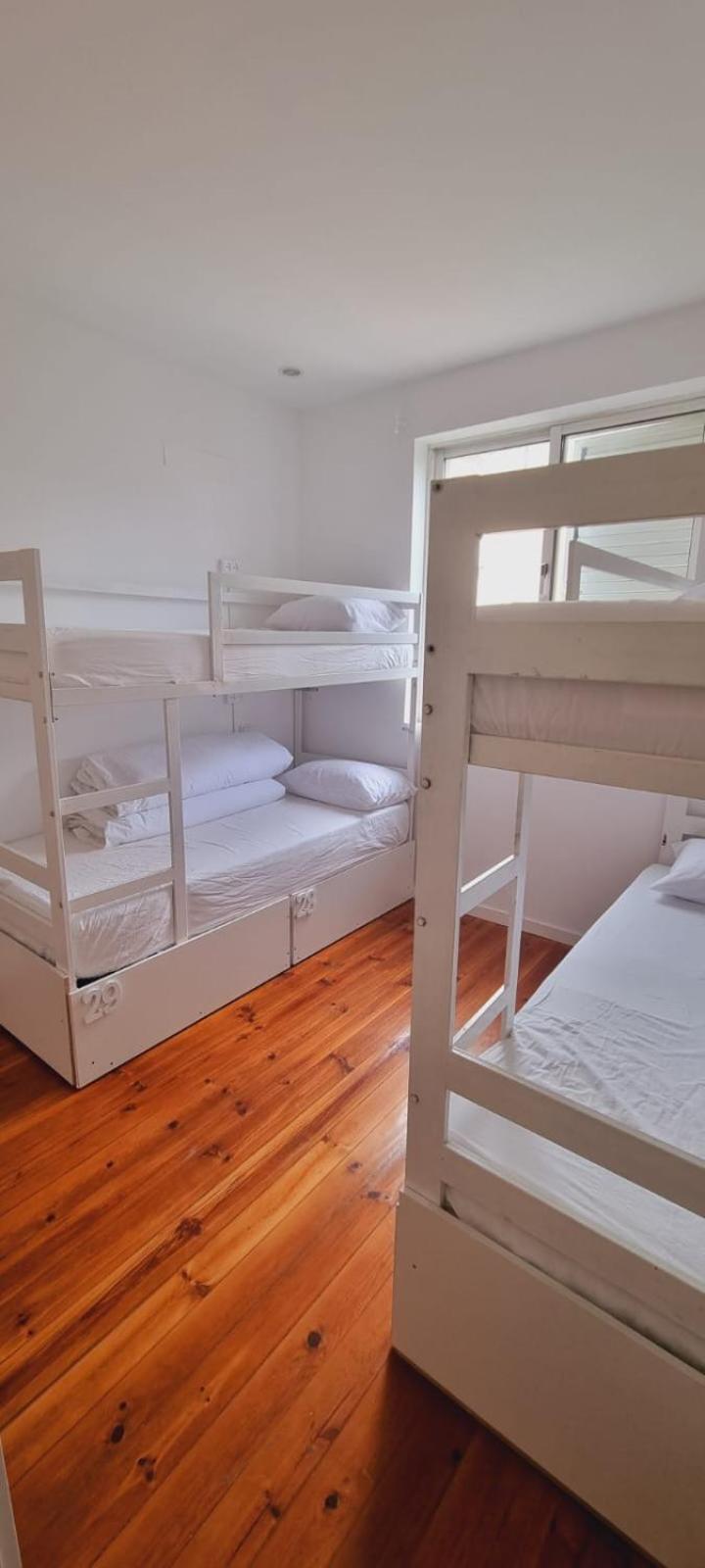פורטו Owls Hostel Ribeiro מראה חיצוני תמונה