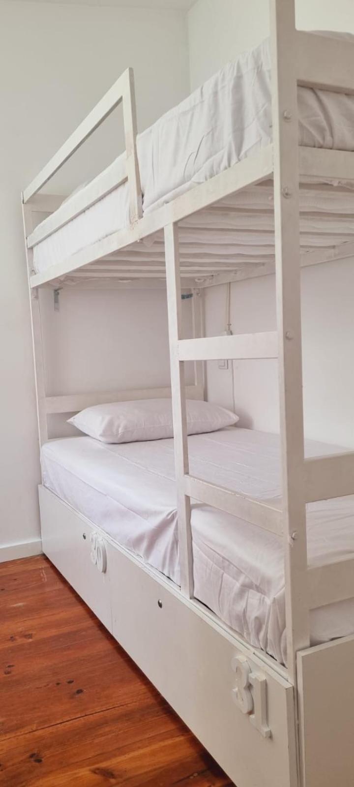 פורטו Owls Hostel Ribeiro מראה חיצוני תמונה